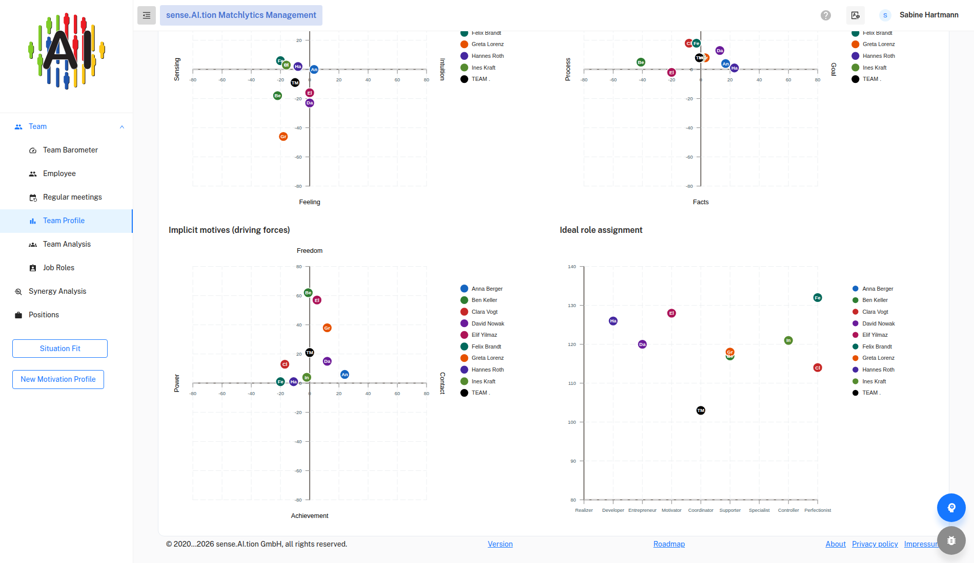 Ideal role assignment chart with nine team roles
