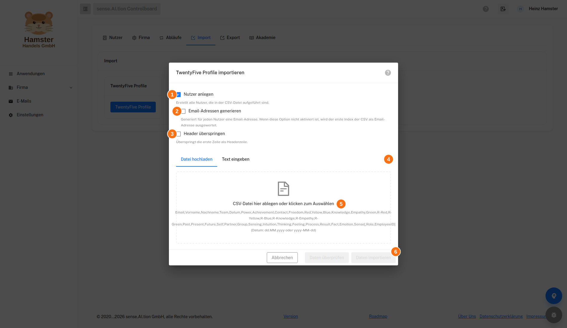Import – Dialog TwentyFive Profile importieren Dialog TwentyFive Profile importieren mit den Optionen