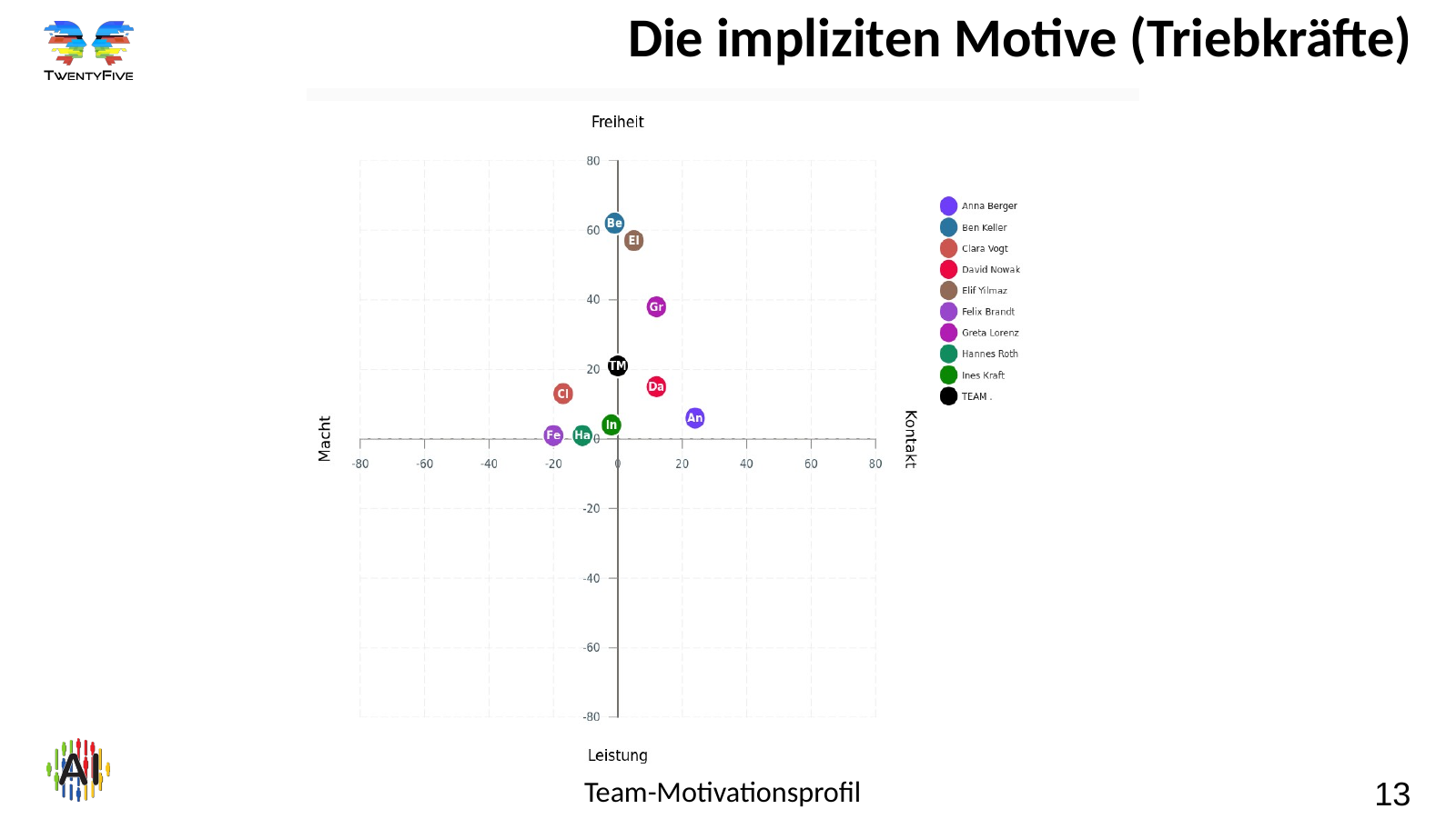 Folie 13: Die impliziten Motive