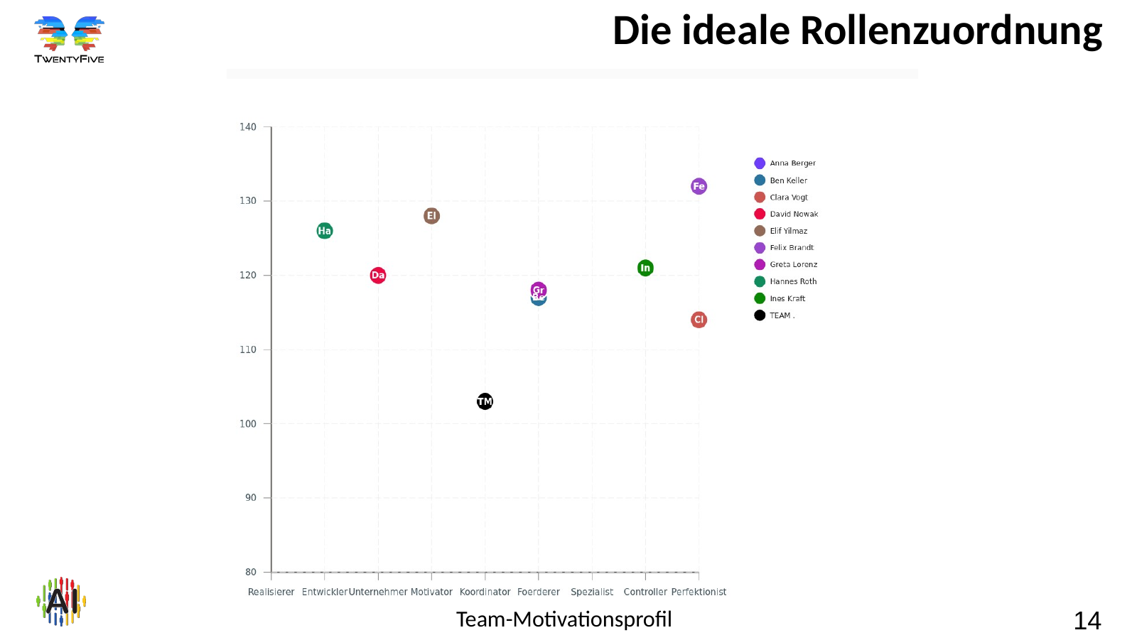 Folie 14: Die ideale Rollenzuordnung